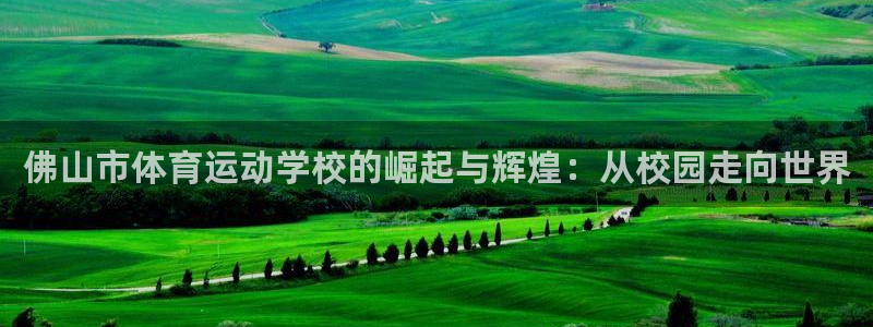 利记官网下载招商电话号码是多少:佛山市体育运动学校的崛起与辉