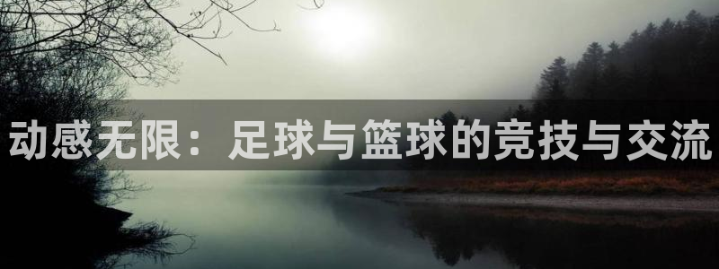 利记官网下载平台注册要钱吗:动感无限:足球与篮球的竞技与交流