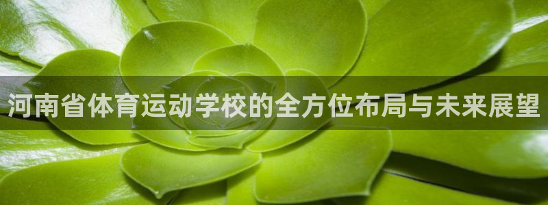 利记官方正版app娱乐平台:河南省体育运动学校的全方位布局与