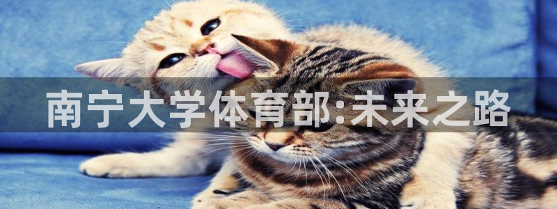 利记官网下载平台假的吗是真的吗:南宁大学体育部:未来之路